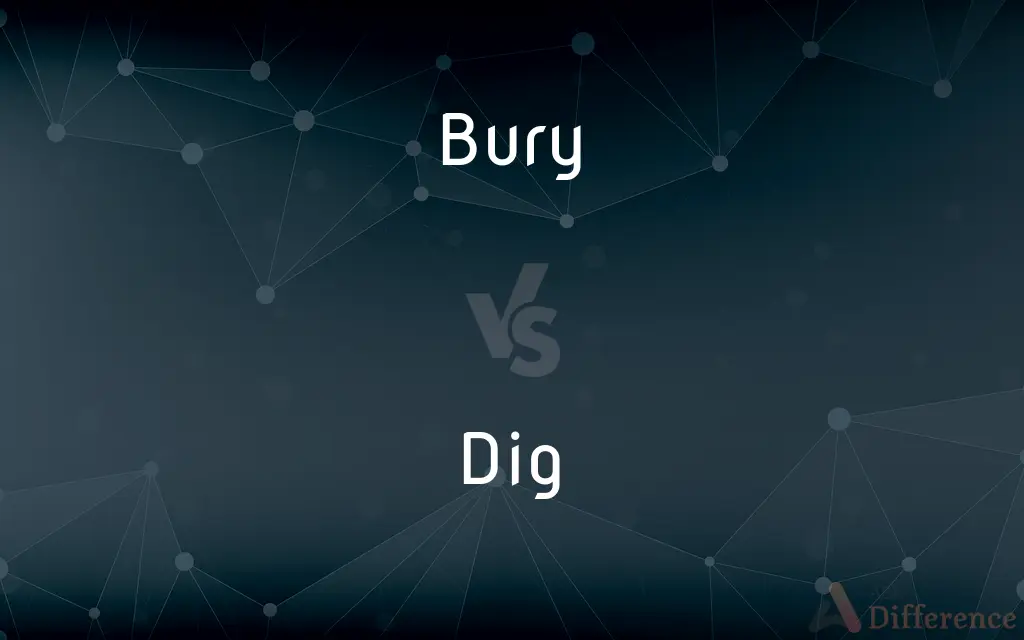 Bury vs. Dig — What's the Difference?