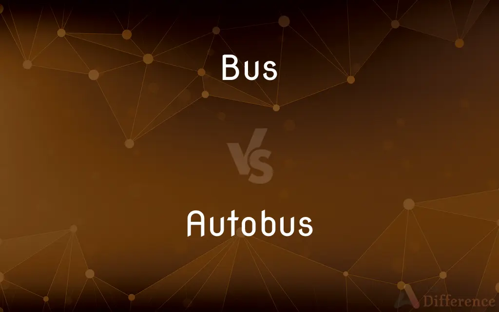 Bus vs. Autobus — What's the Difference?
