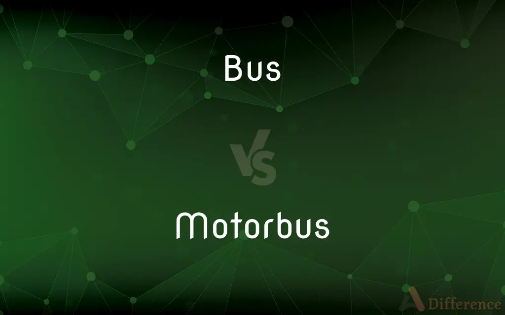 Bus vs. Motorbus — What's the Difference?