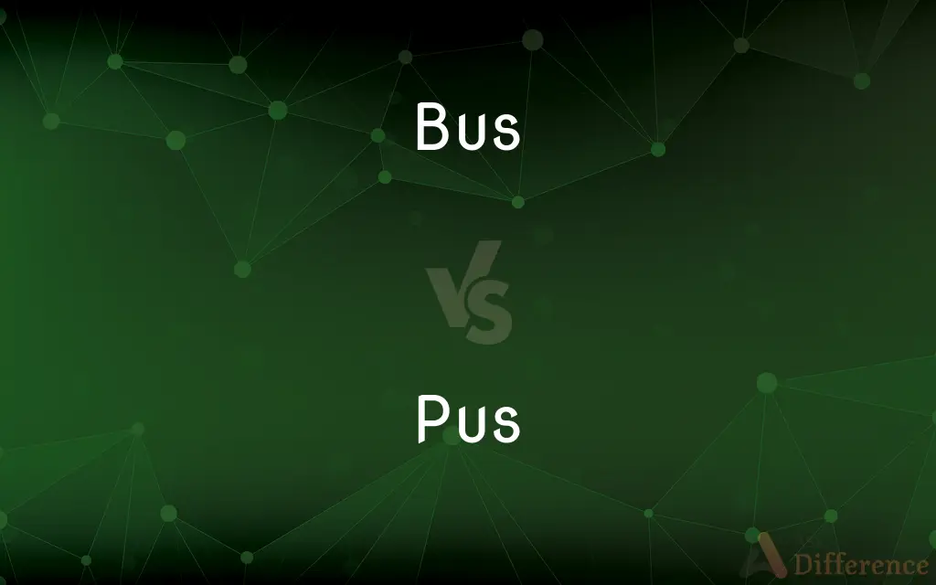 Bus vs. Pus — What's the Difference?