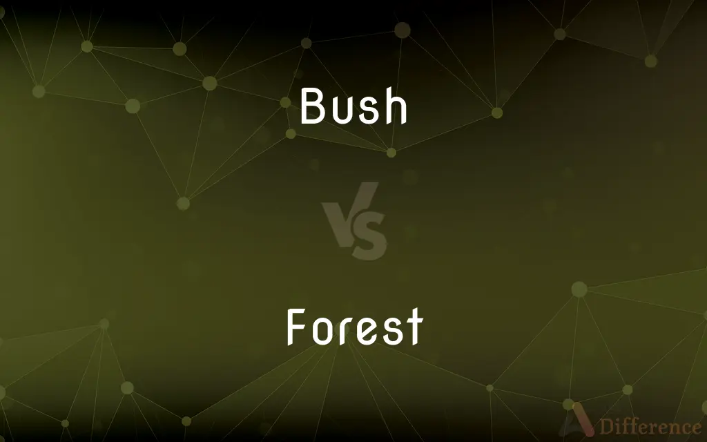 Bush vs. Forest — What's the Difference?