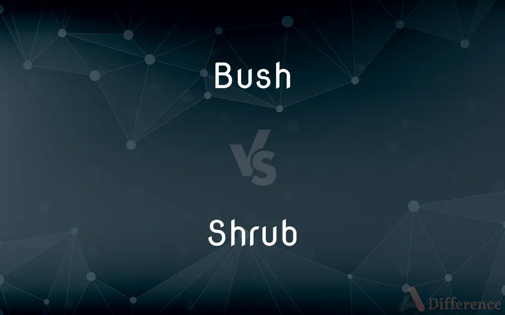 Bush vs. Shrub — What's the Difference?