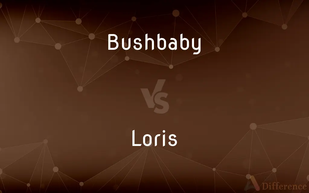 Bushbaby vs. Loris — What's the Difference?