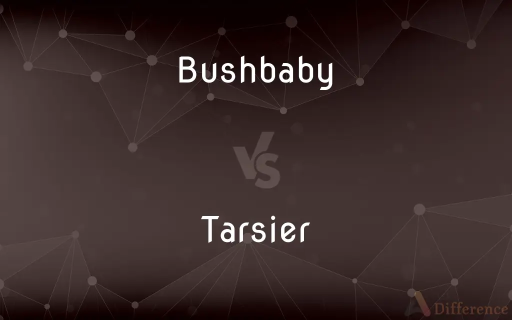 Bushbaby vs. Tarsier — What's the Difference?