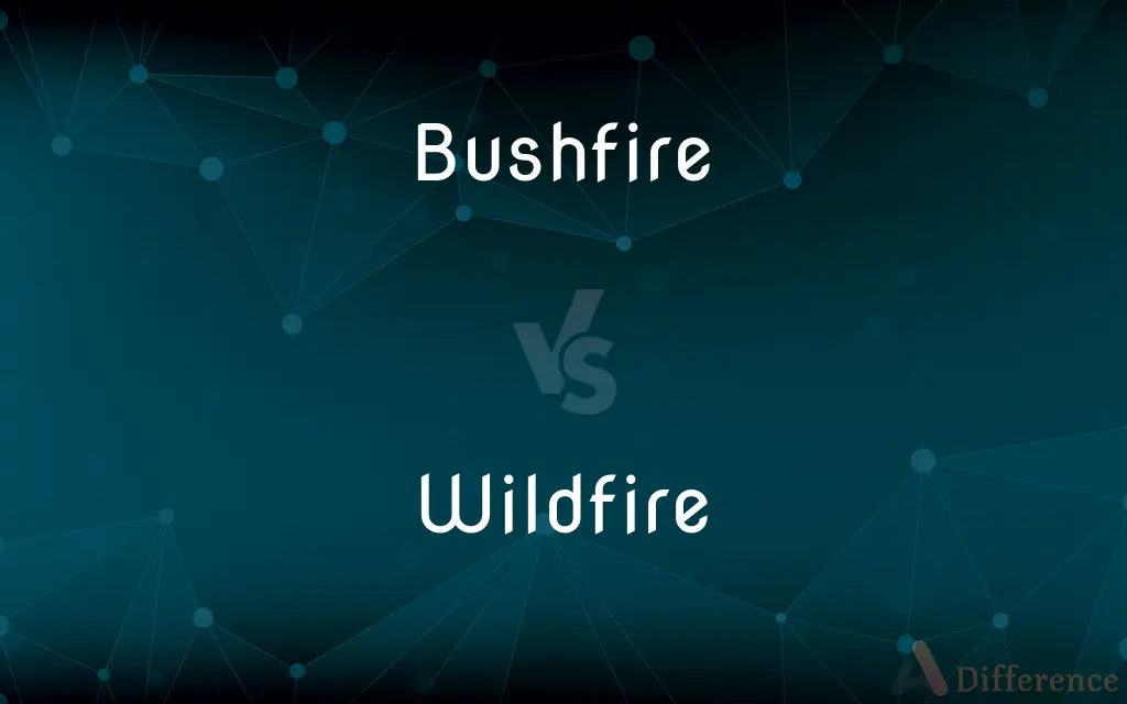Bushfire vs. Wildfire — What's the Difference?