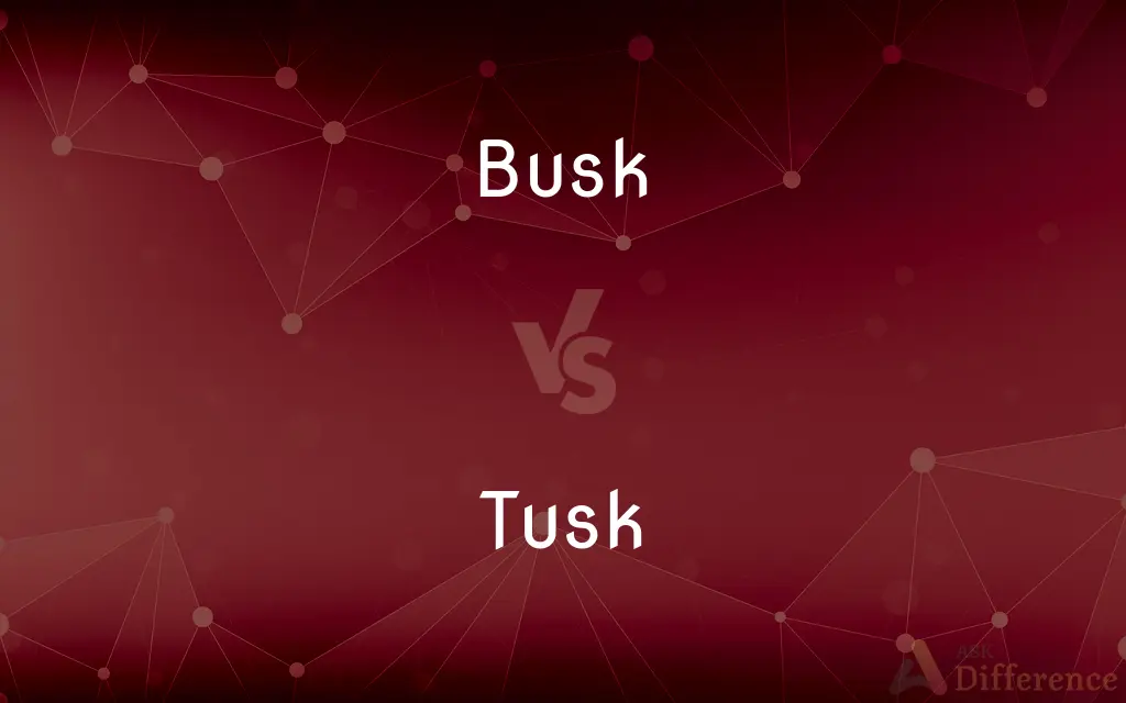 Busk vs. Tusk