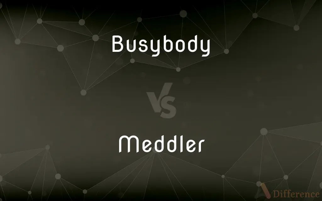Busybody vs. Meddler — What's the Difference?