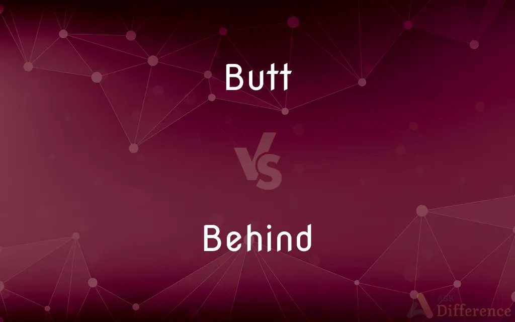 Butt vs. Behind — What's the Difference?