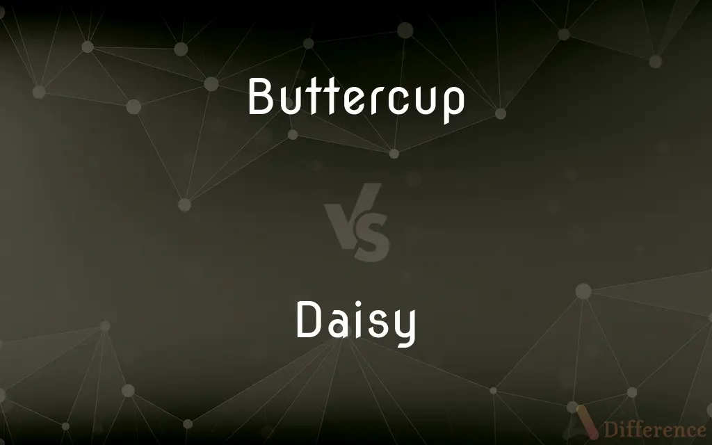 Buttercup vs. Daisy — What's the Difference?