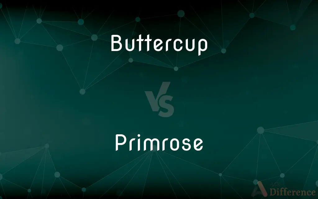 Buttercup vs. Primrose — What's the Difference?