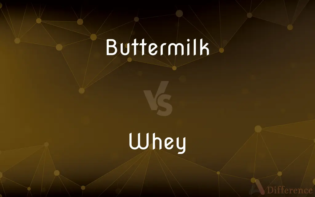 Buttermilk vs. Whey — What's the Difference?
