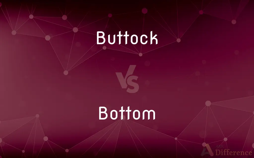 Buttock vs. Bottom — What's the Difference?