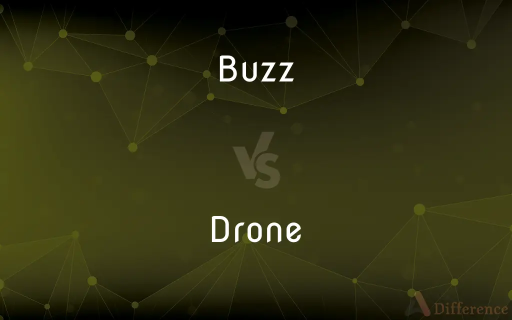 Buzz vs. Drone — What's the Difference?