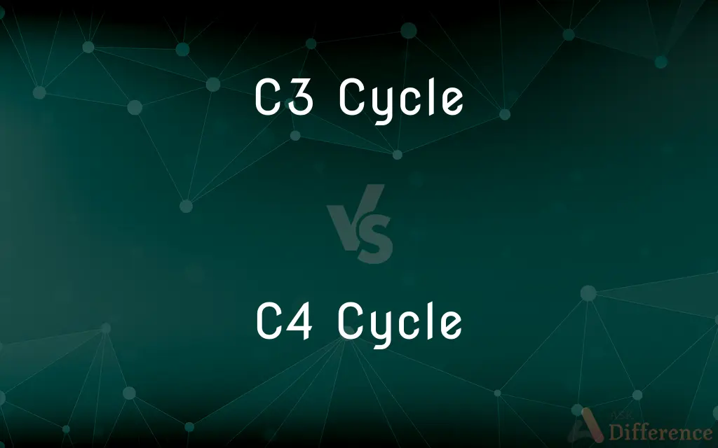 C3 Cycle vs. C4 Cycle — What's the Difference?