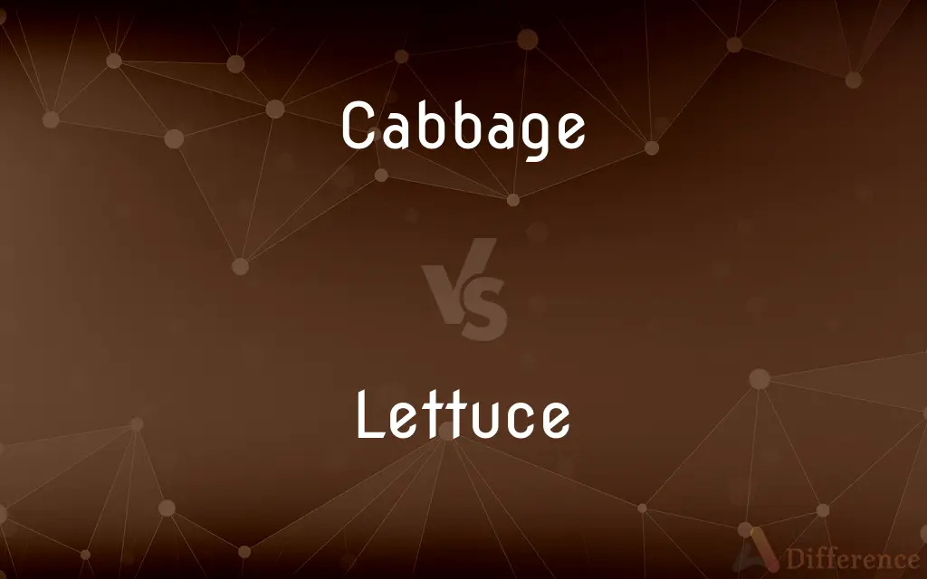 Cabbage vs. Lettuce — What's the Difference?