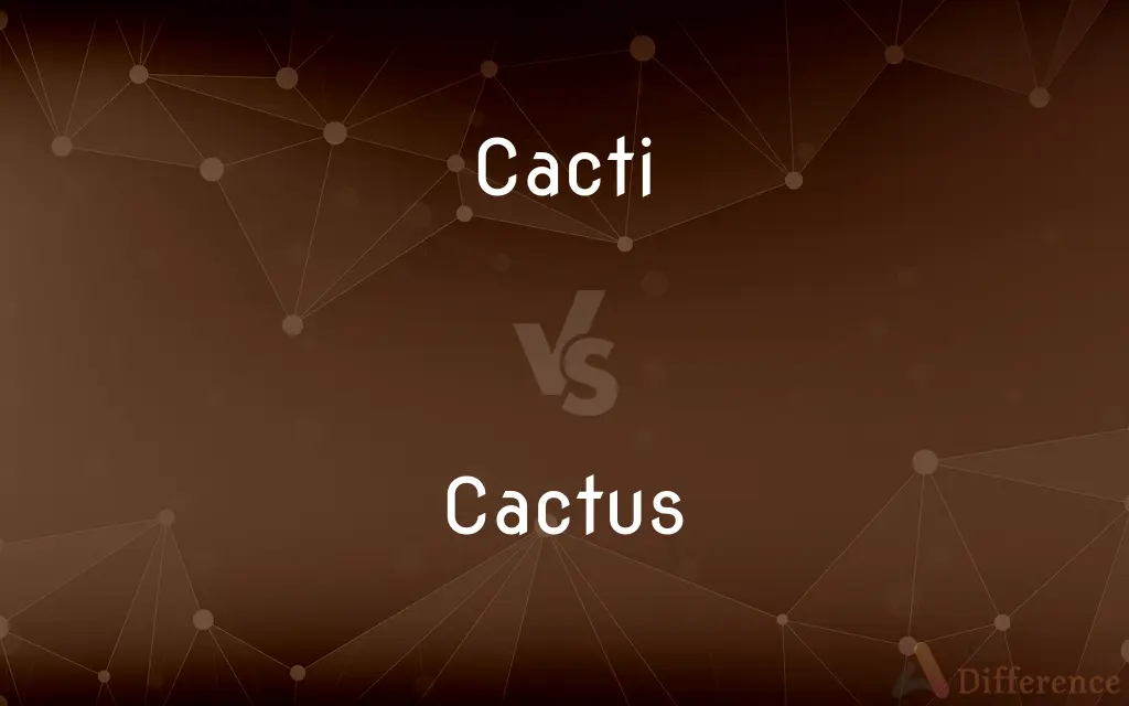 Cacti vs. Cactus — What's the Difference?