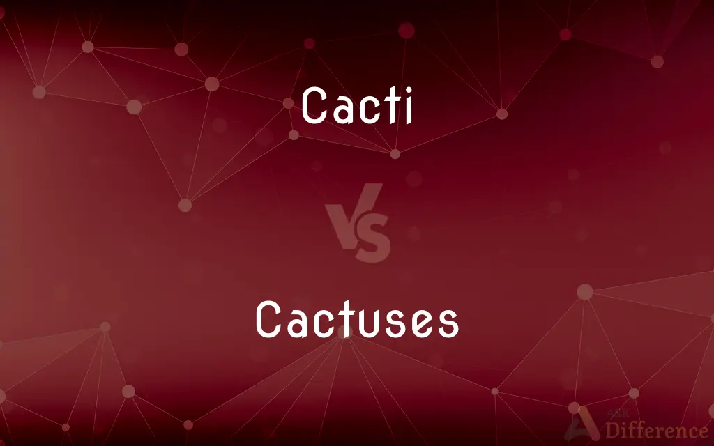 Cacti vs. Cactuses