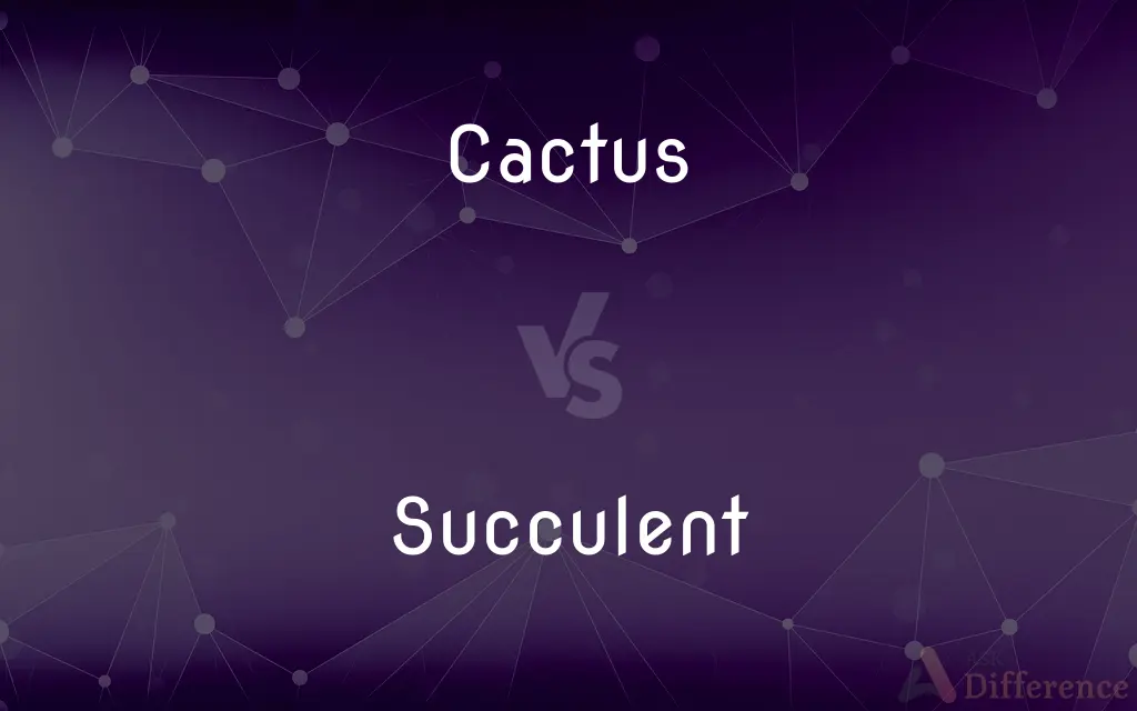 Cactus vs. Succulent — What's the Difference?