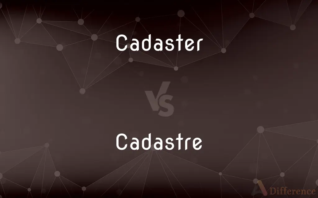 Cadaster vs. Cadastre — What's the Difference?