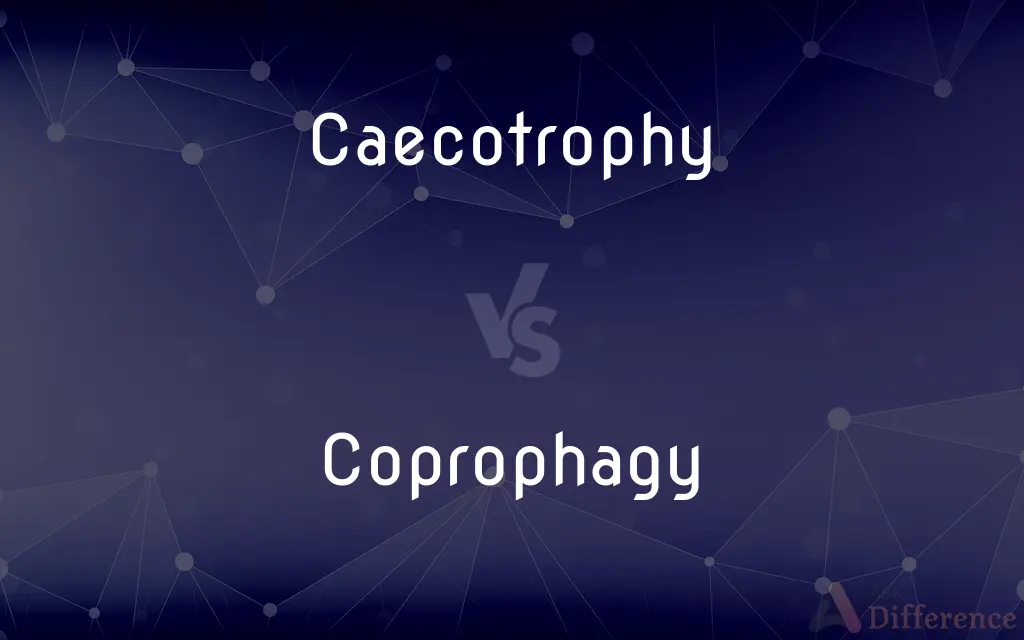 Caecotrophy vs. Coprophagy — What's the Difference?