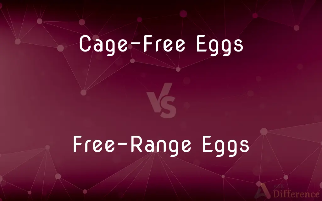 Cage-Free Eggs vs. Free-Range Eggs — What's the Difference?