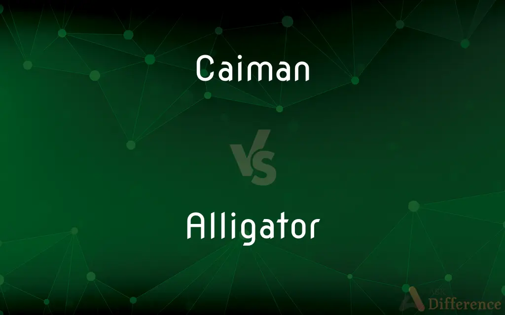Caiman vs. Alligator — What's the Difference?