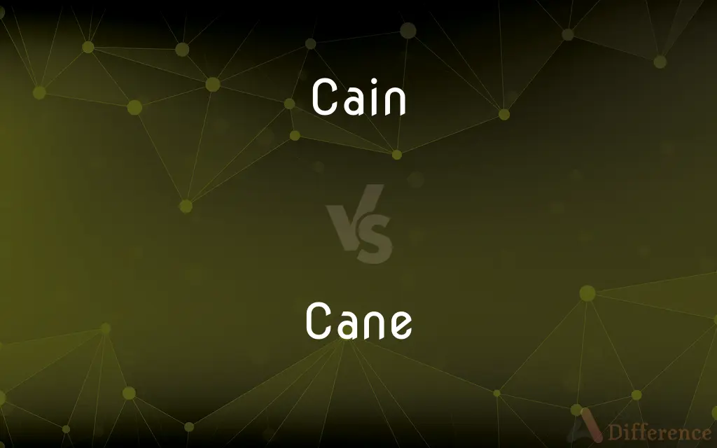 Cain vs. Cane — What's the Difference?