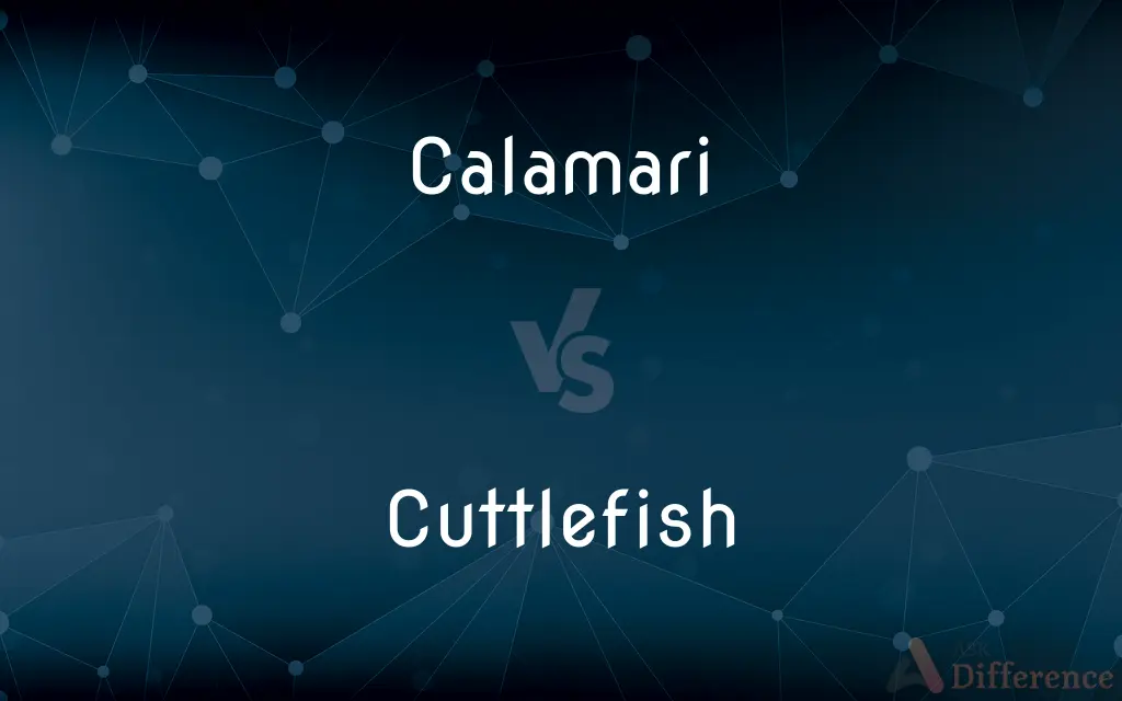 Calamari vs. Cuttlefish — What's the Difference?