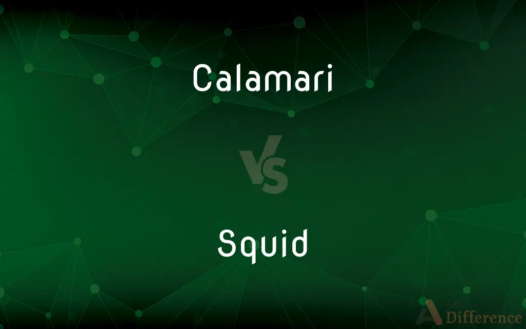 Calamari vs. Squid — What's the Difference?