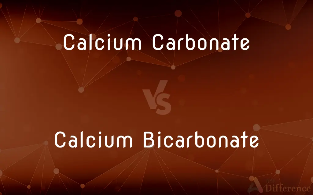 Calcium Carbonate vs. Calcium Bicarbonate — What's the Difference?