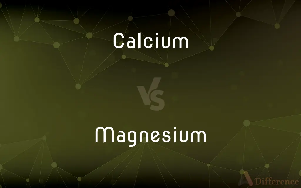 Calcium vs. Magnesium — What's the Difference?