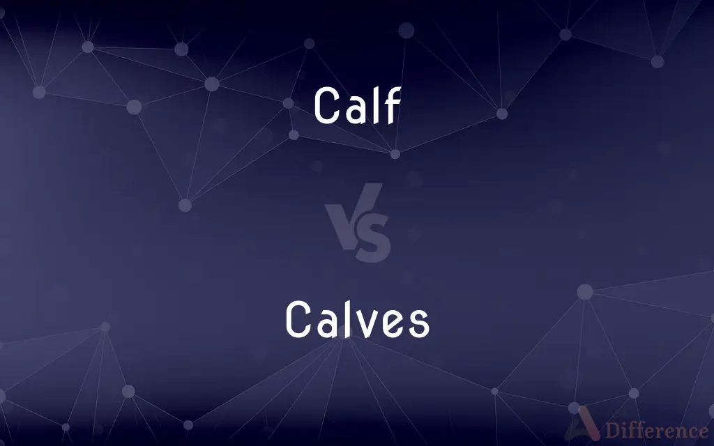 Calf vs. Calves — What's the Difference?