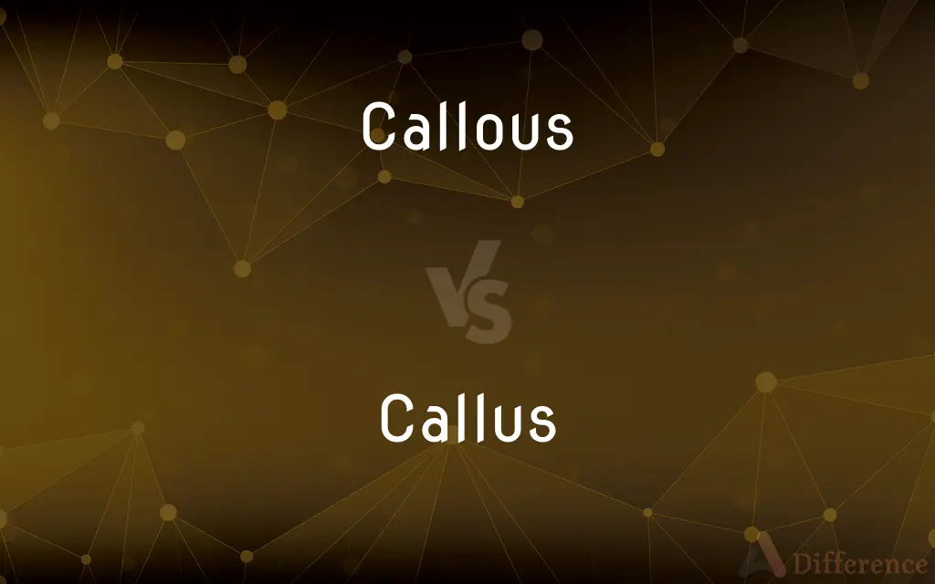 Callous vs. Callus — What's the Difference?