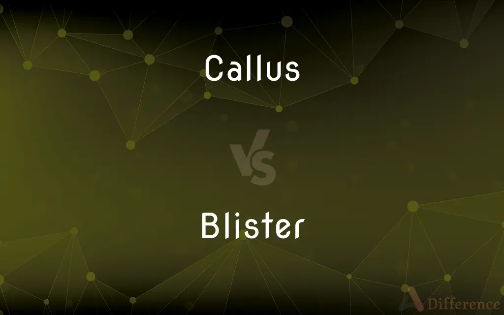 Callus vs. Blister — What's the Difference?