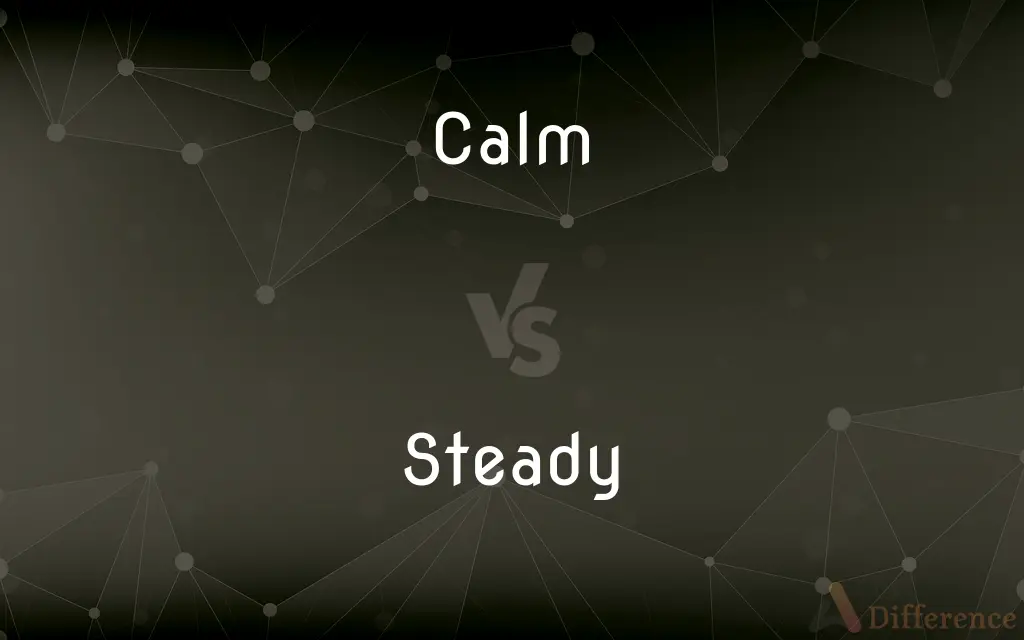 Calm vs. Steady — What's the Difference?