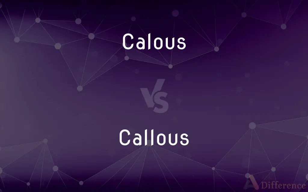 Calous vs. Callous — Which is Correct Spelling?