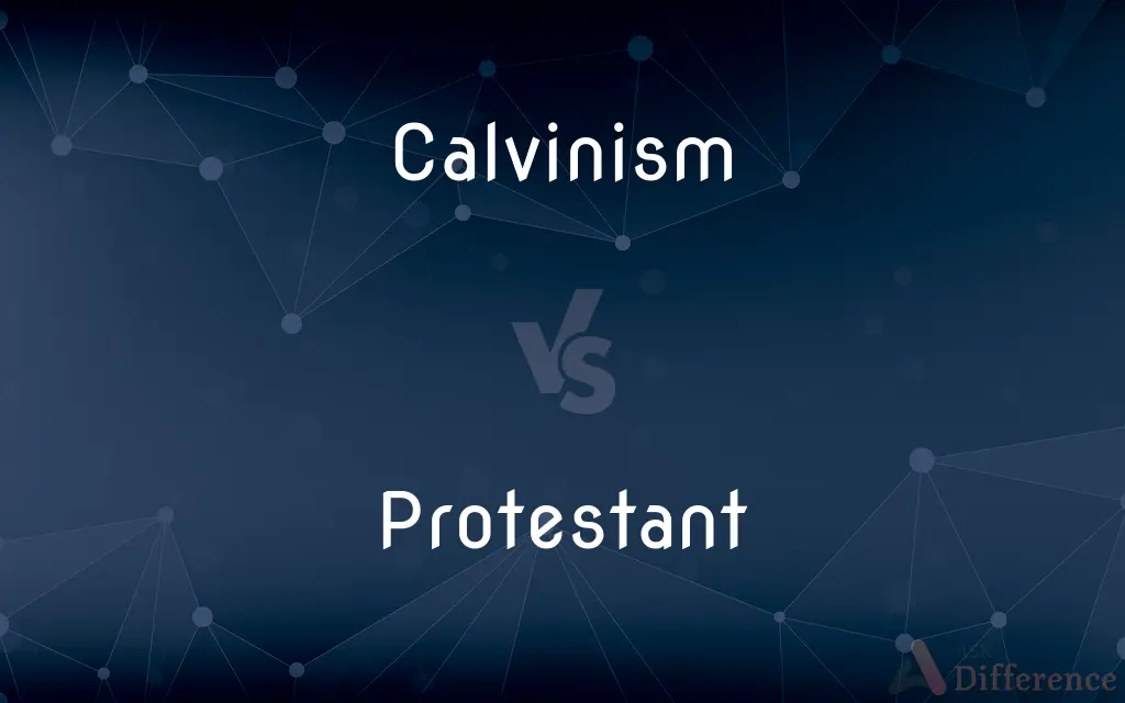 Calvinism vs. Protestant — What's the Difference?