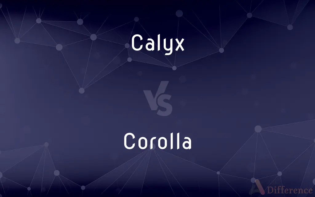Calyx vs. Corolla — What's the Difference?