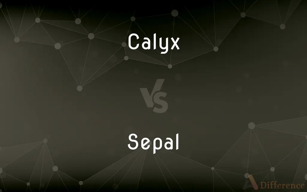 Calyx vs. Sepal — What's the Difference?