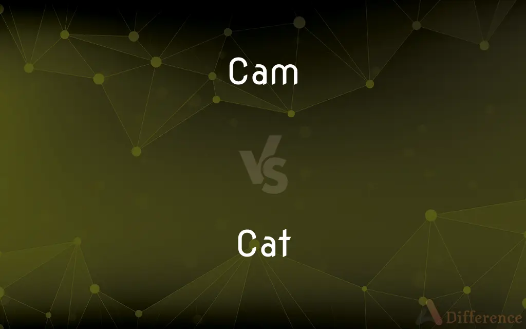 Cam vs. Cat — What's the Difference?