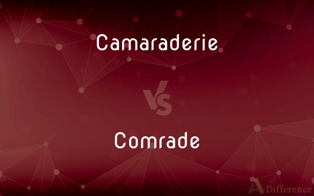 Camaraderie vs. Comrade — What's the Difference?