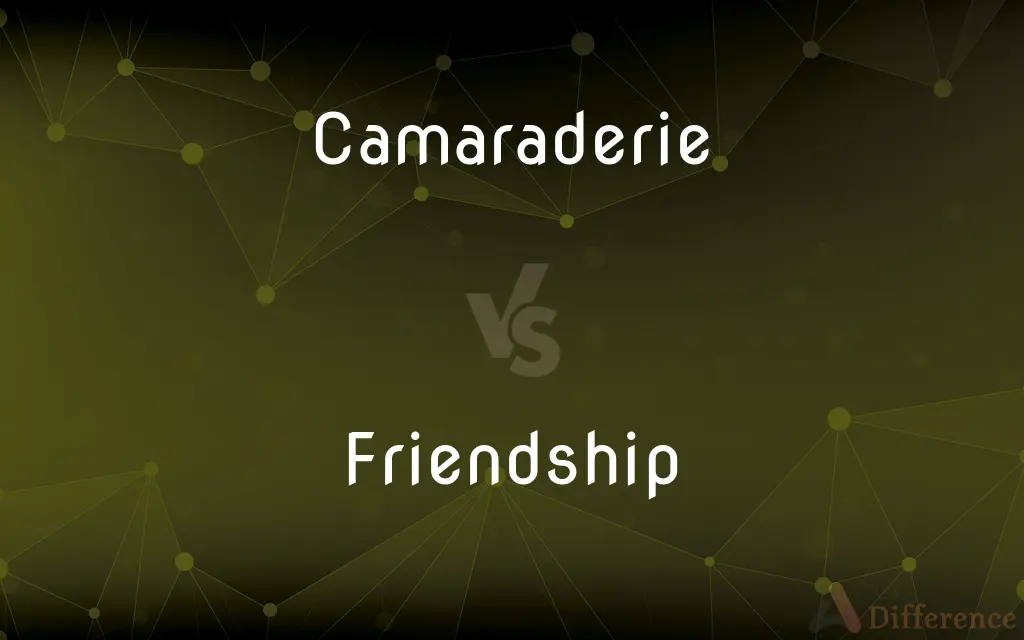 Camaraderie vs. Friendship — What's the Difference?