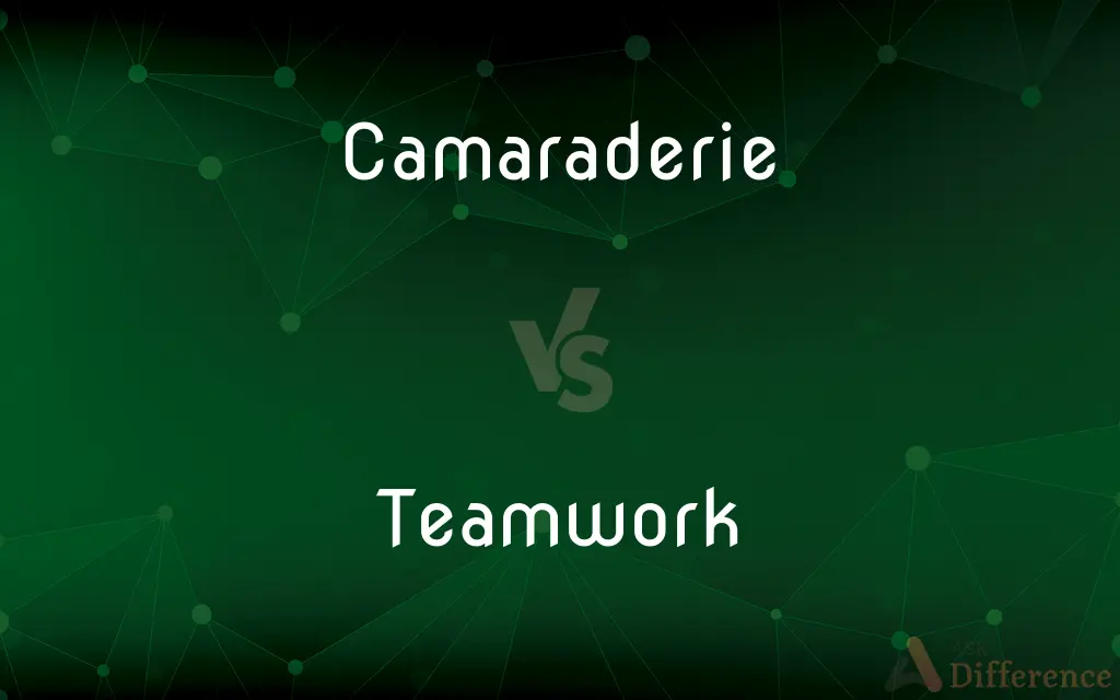 Camaraderie vs. Teamwork — What's the Difference?