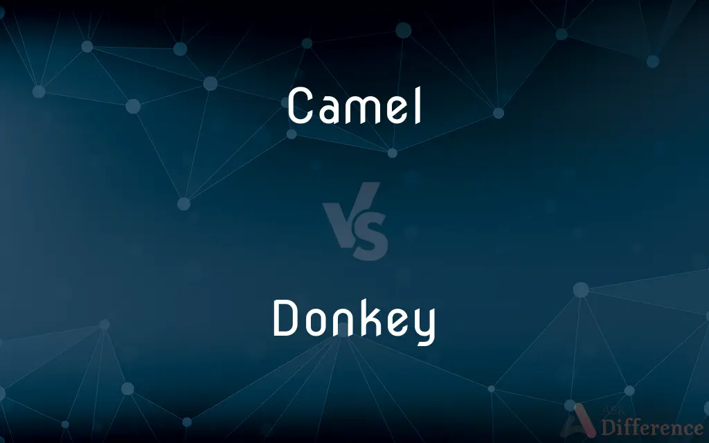 Camel vs. Donkey — What's the Difference?