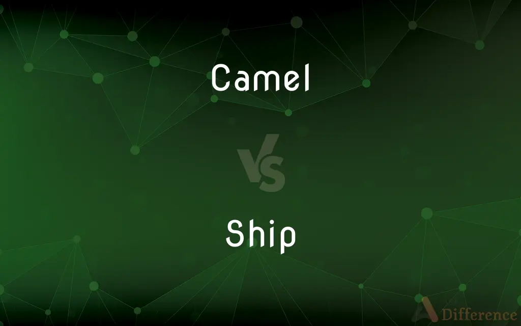 Camel vs. Ship — What's the Difference?