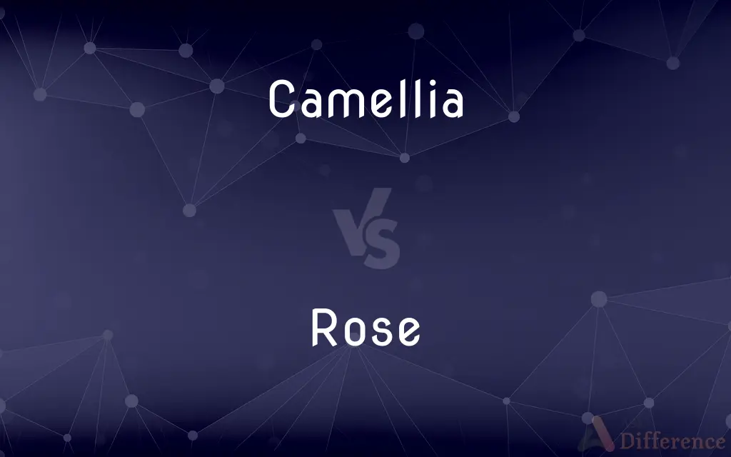 Camellia vs. Rose — What's the Difference?