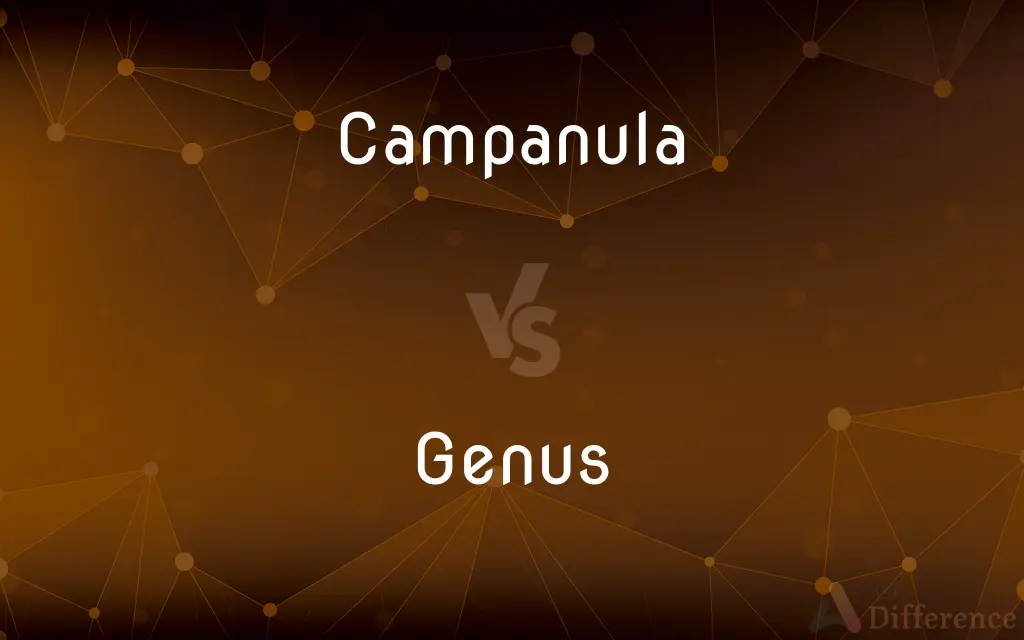 Campanula vs. Genus — What's the Difference?