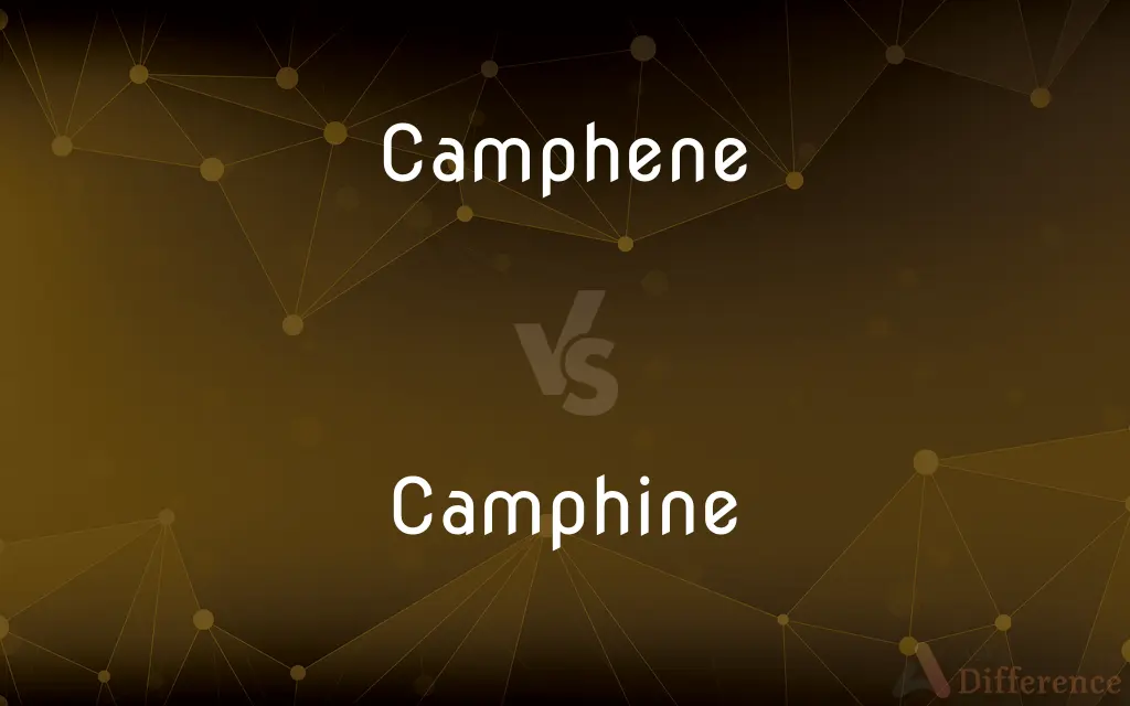 Camphene vs. Camphine — What's the Difference?