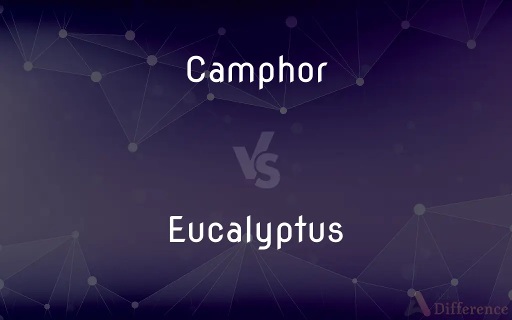 Camphor vs. Eucalyptus — What's the Difference?