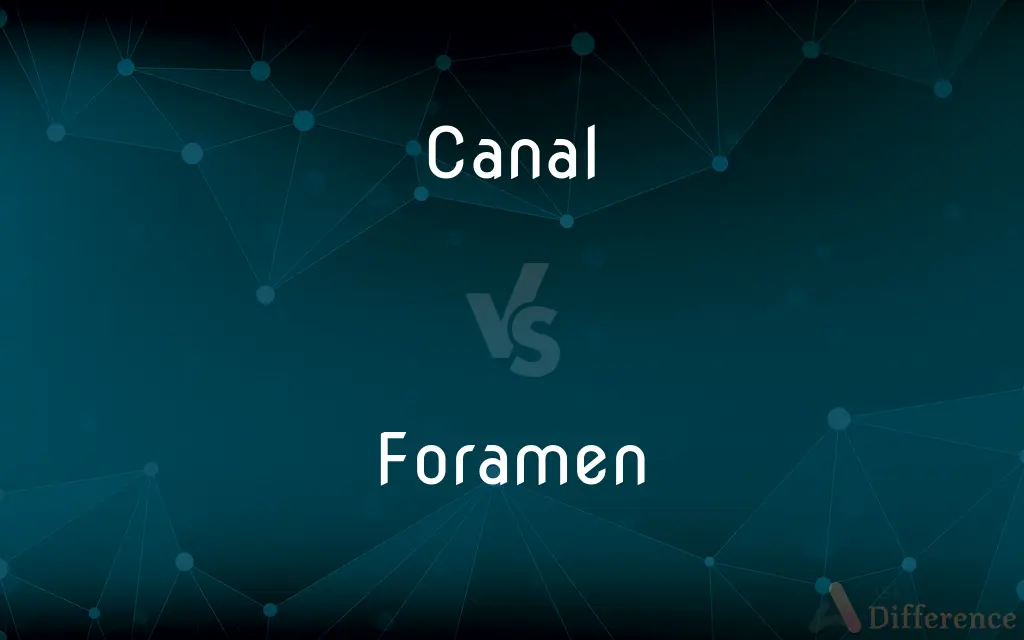 Canal vs. Foramen — What's the Difference?